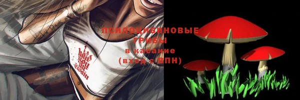 твердый Приозерск