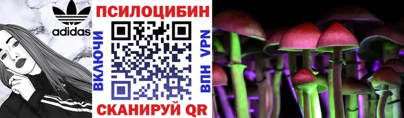 hydra зеркало  Медынь  Галлюциногенные грибы Cubensis 